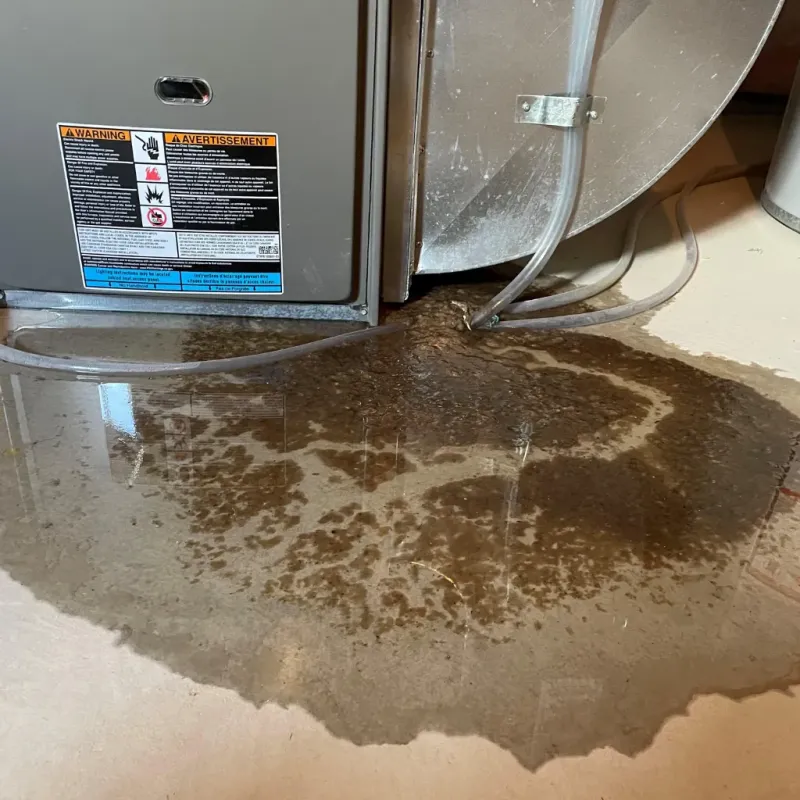 Appliance Leak Cleanup in Booneville, MS